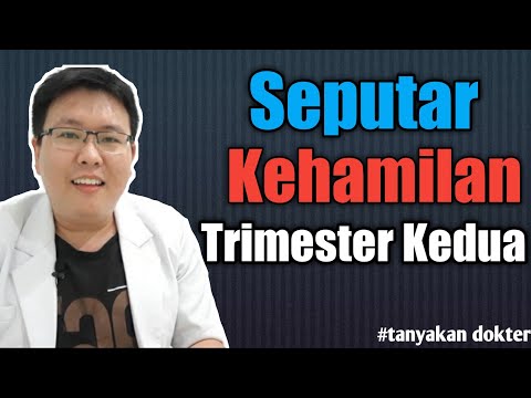 download lagu mp3 mp4 Tips Ibu Hamil Trimester Kedua, download lagu Tips Ibu Hamil Trimester Kedua gratis, unduh video klip Tips Ibu Hamil Trimester Kedua