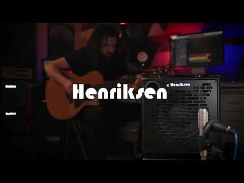Henrikesen FRFR Henriksen The Bud TEN Amp 2024 - Black image 12