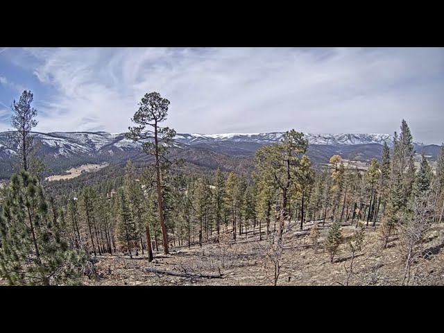 Live webcam view of Panorama de la Cordillera de Pendaries