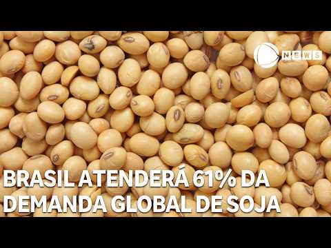 Brasil deve atender a 61% da demanda global de soja