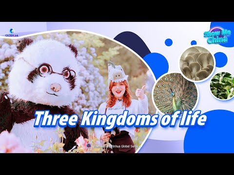 Show Me China: Three Kingdoms of Life