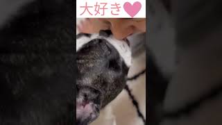 愛情が溢れちゃう #shorts