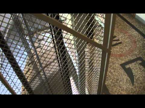 Beautiful old 1932 (mod 1993 KONE M) Traction Elevator/Lift@ Vuorikatu 16, Helsinki, Finland