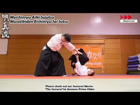 Meishinryu Aikido techniques 明真流　合気道の稽古 #aikido #合気道 #天照会 2025 0509 01