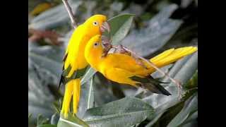 HIS LOVE IS STRONG by Dave Parker