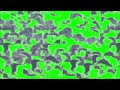 Angry Eyebrows Green Screen 4