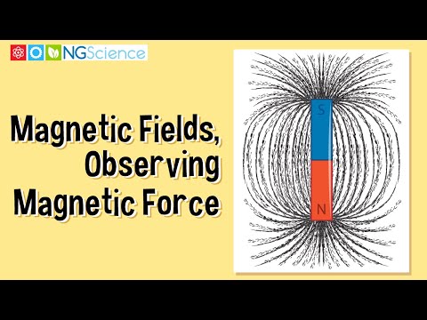Magnetic Fields – Observing Magnetic Force