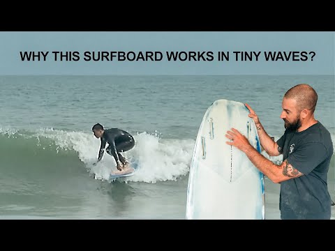 I was blown away by the Secula "Sardine Can" Surfboard in SMALL WAVES