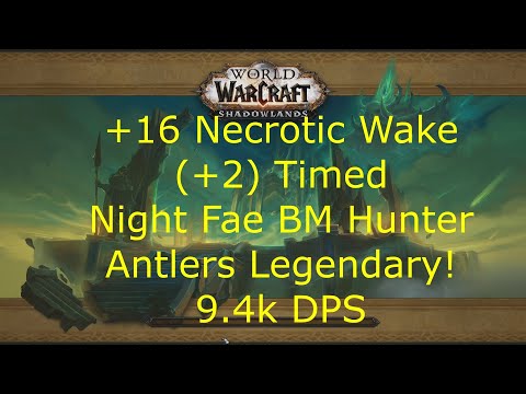 +16 Necrotic Wake (+2) - 9.4K DPS OVERALL! Night Fae BM Hunter - Antlers Legendary - 9.1 Shadowlands