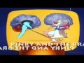 Pinky and The Brain Theme Song (Instruments Up ...