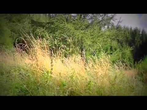 Olanesti Cazare - Cazat.ro