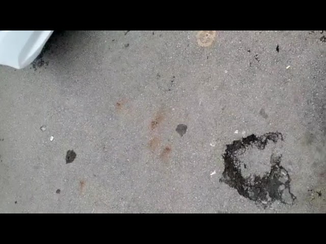 Video 1 sddefault