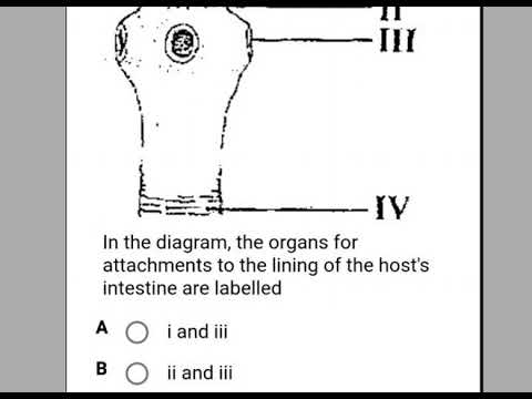 Biology Jamb 2020 Complete Solution
