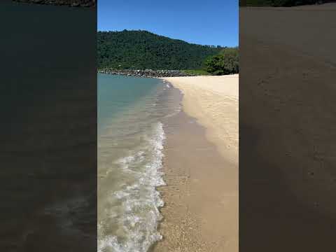 Tropical beach 🏝️