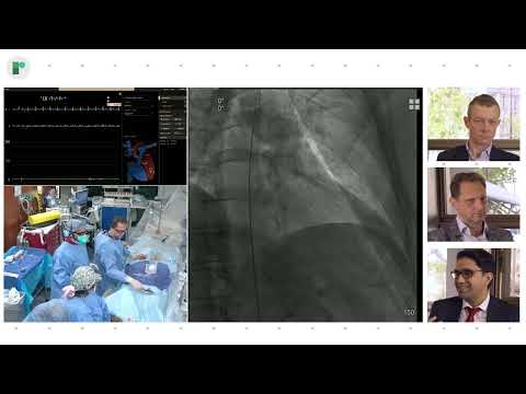 Zero-Contrast PCI Using HD IVUS and Physiological Guidance - Radcliffe Cardiology Panel at EuroPCR23