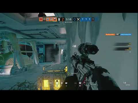 Maverick with that scary face