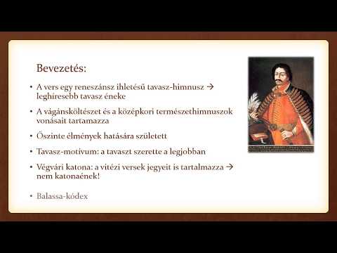 Balassi Bálint: Borivóknak való (elemzés)