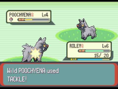 Let' Play Pokémon Emerald - Part 7 - DAD'S A GYM LEADER