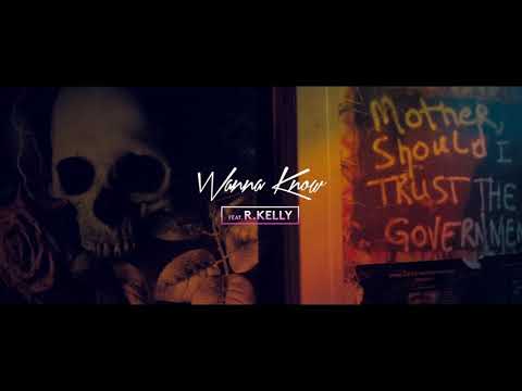 Digital Farm Animals X Youthonix Feat. R. Kelly  - Wanna Know