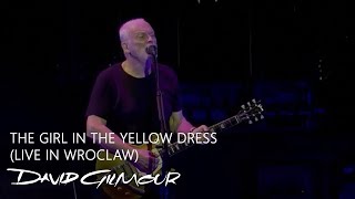 David Gilmour - The Girl In The Yellow Dress (Live in Wroclaw, Poland)