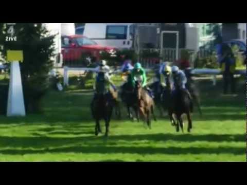 Pardubický Saint Leger 2010-Makléř(DS Pegas)-Václav Janáček