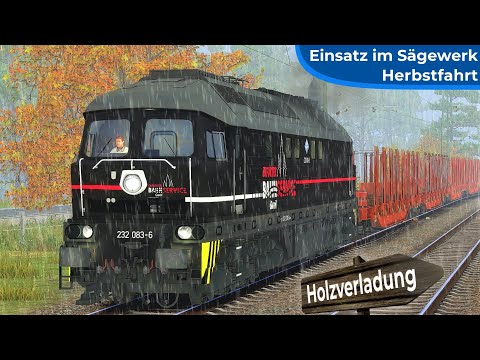 HOLZVERLADUNG: Einsatz im Sägewerk | TRAIN SIMULATOR 2021 | Erfurter Bahnservice BR 232 – Ludmilla
