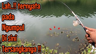 Download lagu Part: 2 TAU BEGINI BISA SELESAI MISI KOTAK IJO || mancing ikan red devil ( rangkuman live 18 NOV ) mp3 Download lagu Part: 2 TAU BEGINI BISA SELESAI MISI KOTAK IJO || mancing ikan red devil ( rangkuman live 18 NOV ) mp3