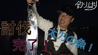 【館山釣り情報】釣りっぱり！　べっくのお魚情報館！(*'▽')　4/17~18 Ver　自衛隊堤防討伐完了！