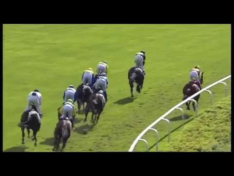 Derby-Meeting 2016 - pferdewetten.de - Großer Hansa-Preis