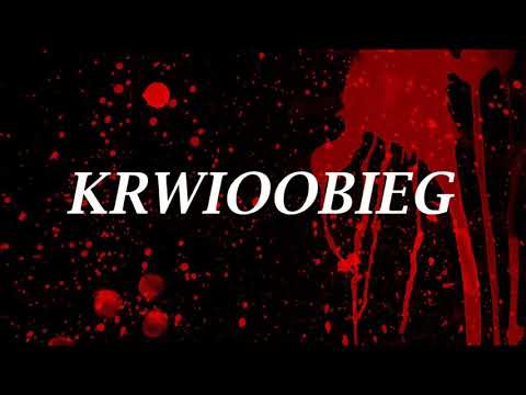 Olshu - Krwioobieg