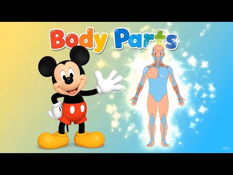 Mickey Mouse Teaches Body Parts | Fun Learning for Kids  Educational Cartoon for Toddlers #learning