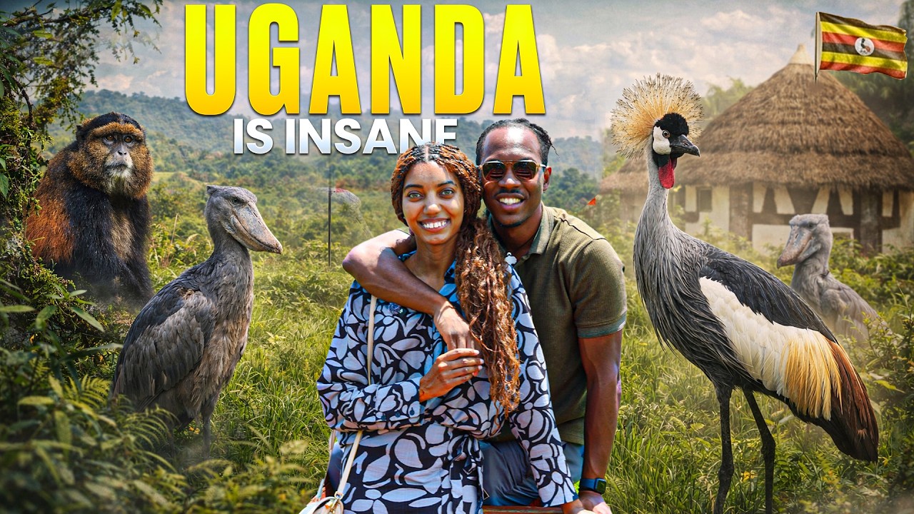 UGANDA Travel Vlog | Lake Victoria to Bwindi (Part 1 of 3)