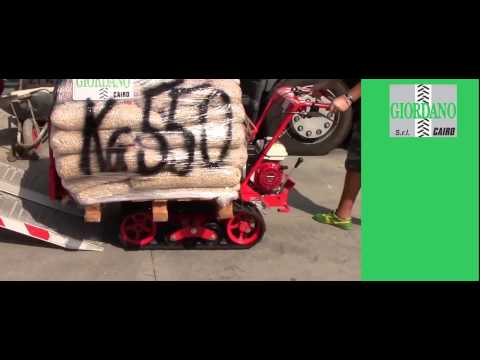 MOTOCARRIOLA CINGOLATA MARUYAMA 500 Kg. HONDA - nuova da Giordano Cairo