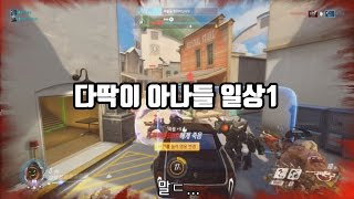 썸네일 이미지