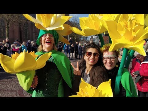 Netherlands | Flower Parade 2019 | bloemencorso bollenstreek 2019