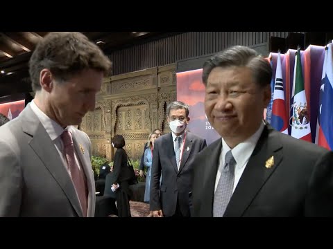 Си Цзиньпин жестко отчитал премьера Канады