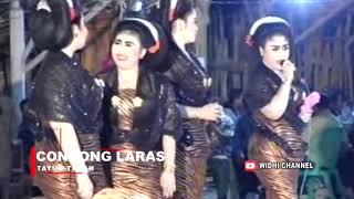 Download lagu Pangkur, Caping Gunung, Gambir Sawit, Wolu Iromo || Wantika Cs Live Desa Gaji mp3 Download lagu Pangkur, Caping Gunung, Gambir Sawit, Wolu Iromo || Wantika Cs Live Desa Gaji mp3
