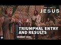 Jesus Rides A Donkey On Palm Sunday The Life Of Jesus 30