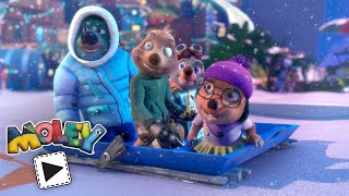 📖✨ The Abominable Snowmole | Moley | Family Fun Cartoons