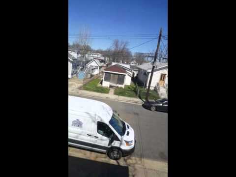 Green  Stories video.