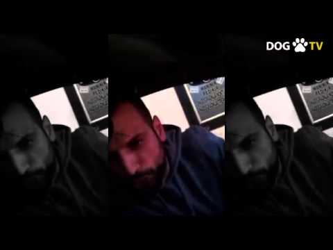 Voke ft. Hary & Diss - Dodaj pare