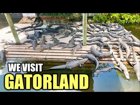 An Incredible Day At Gatorland Orlando | Florida’s  Best Roadside Attraction | First Visit