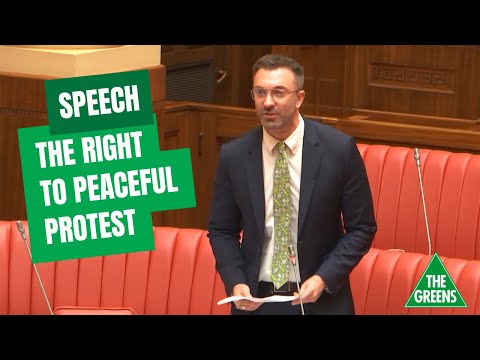 Government Response to Protests: A Delicate Balance | Painted Clothes