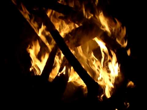 Bastidores do Luau da Fazenda