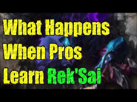 What Happens When Pros Try To Learn REK'SAI