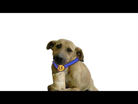 BEYAZ KÜRT @BeyazKurt