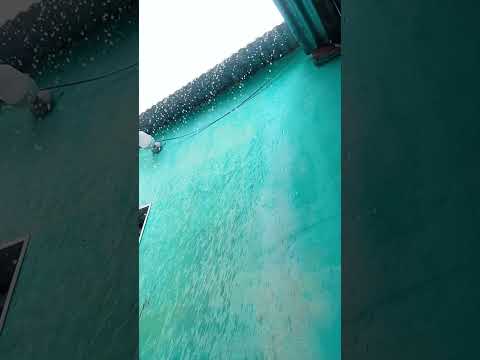 Poptun Petén Guatemala