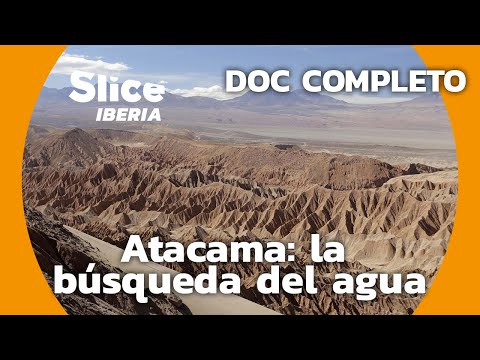 Atacama: salvando los oasis del desierto más arido | SLICE Iberia | DOCUMENTAL COMPLETO