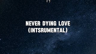 Never Dying Love (Instrumental/lyrics) by Jon Thurlow