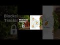Blockchain Food Tracking Tech Insights 98 Habeshatok Habeshatiktok Techinsights